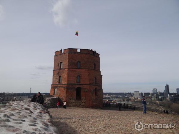 Башня Гедиминаса (Литва, Вильнюс) фото