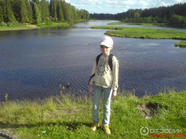 Поселок Вырица (Россия, Ленинградская область) фото