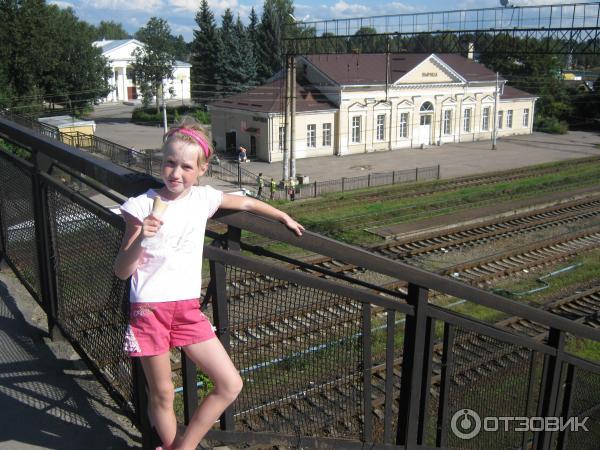 Поселок Вырица (Россия, Ленинградская область) фото