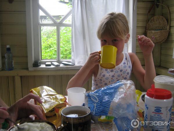 Поселок Вырица (Россия, Ленинградская область) фото