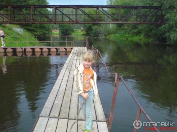 Поселок Вырица (Россия, Ленинградская область) фото