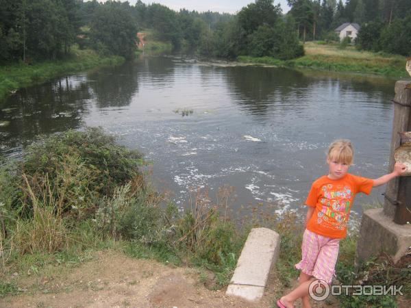 Поселок Вырица (Россия, Ленинградская область) фото