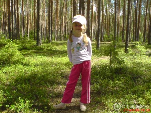 Поселок Вырица (Россия, Ленинградская область) фото