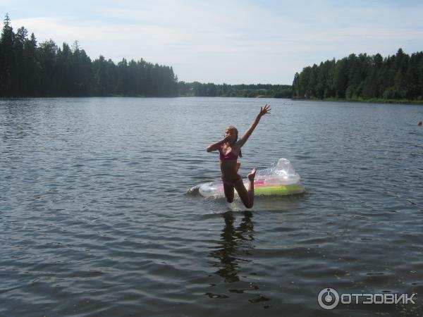 Поселок Вырица (Россия, Ленинградская область) фото