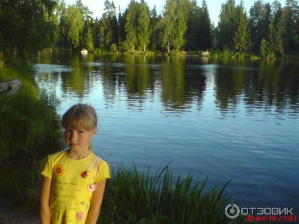 Поселок Вырица (Россия, Ленинградская область) фото