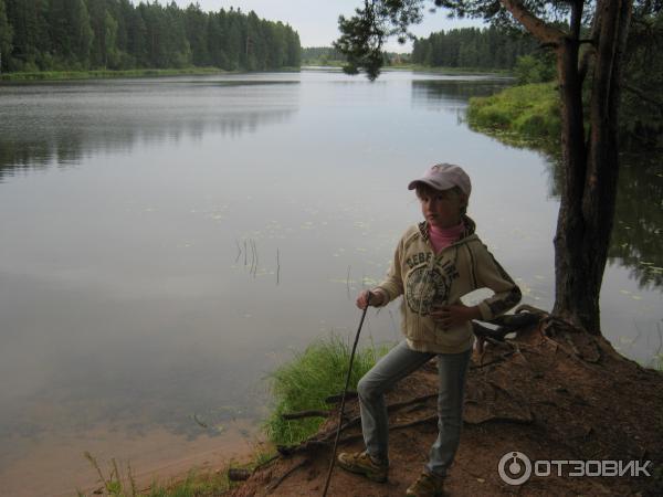 Поселок Вырица (Россия, Ленинградская область) фото