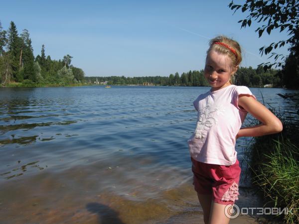 Поселок Вырица (Россия, Ленинградская область) фото