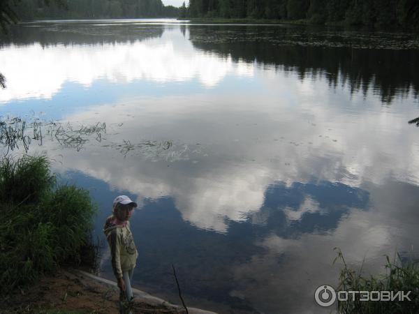Поселок Вырица (Россия, Ленинградская область) фото