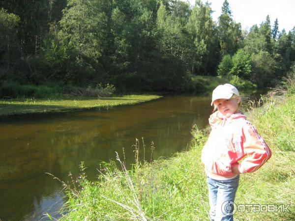 Поселок Вырица (Россия, Ленинградская область) фото