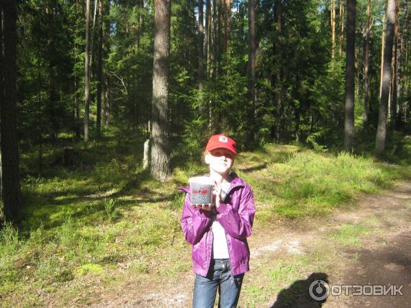 Поселок Вырица (Россия, Ленинградская область) фото