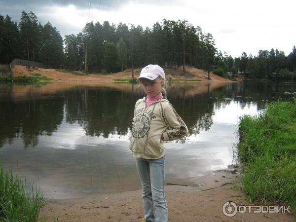 Поселок Вырица (Россия, Ленинградская область) фото