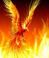 Phoenix A