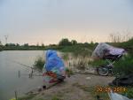 Универсальная коляска Kajtex Tramonto Len 2 в 1 фото