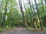 Универсальная коляска Kajtex Tramonto Len 2 в 1 фото