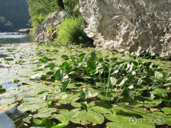 Сплав по реке Ай (Россия, Челябинская область) фото