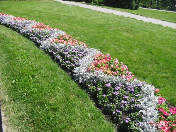 Село Дивеево (Россия, Нижегородская область) фото