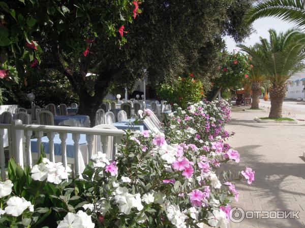 Отель Dessole Le Hammamet Resort 4