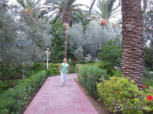 Отель Dessole Le Hammamet Resort 4