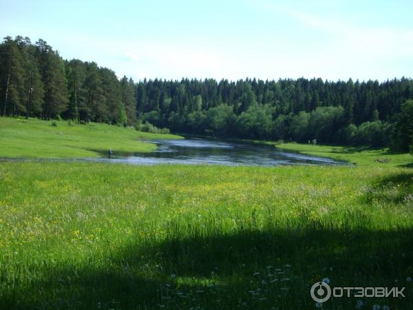 Музей деревянного зодчества Василево (Россия, Тверская область) фото