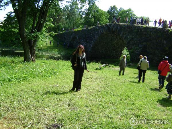 Музей деревянного зодчества Василево (Россия, Тверская область) фото