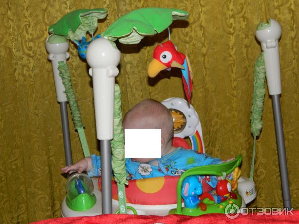 Прыгунки Fisher-Price Тропический лес фото