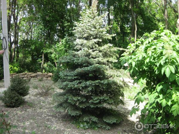 Храм иконы Божей Матери Живоносный источник фото