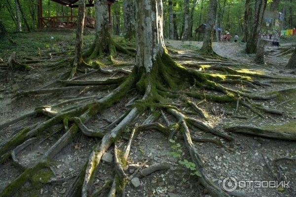 Гебиусские водопады (Россия, Краснодарский край) фото