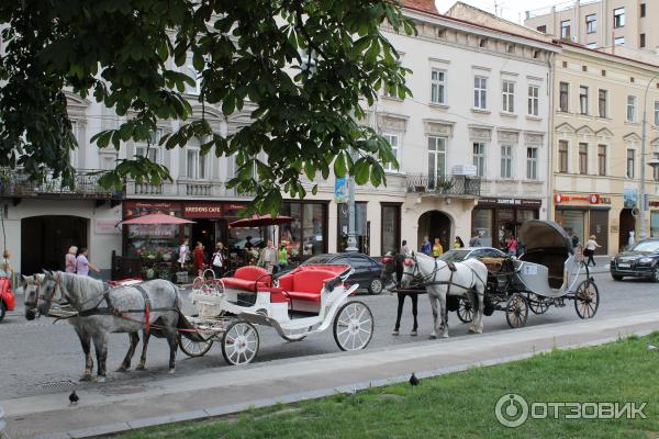 Оперный театр Львова фото