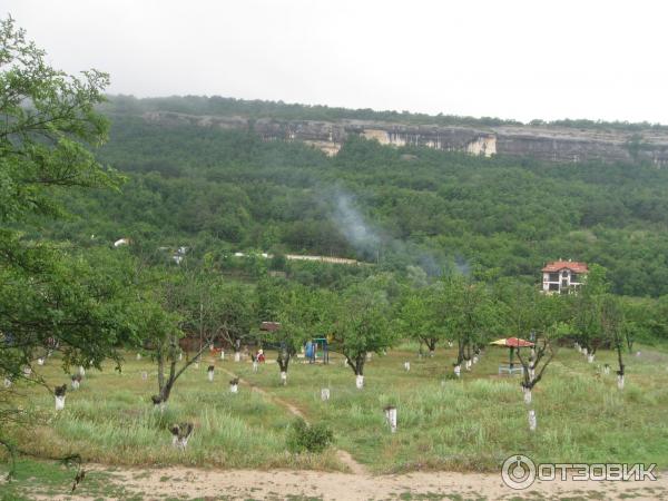 Ослиная ферма Чудо-ослик (Россия, Крым) фото