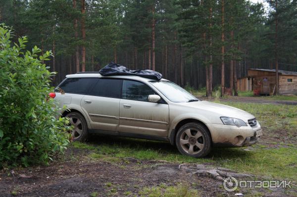 Subaru Outback отзывы