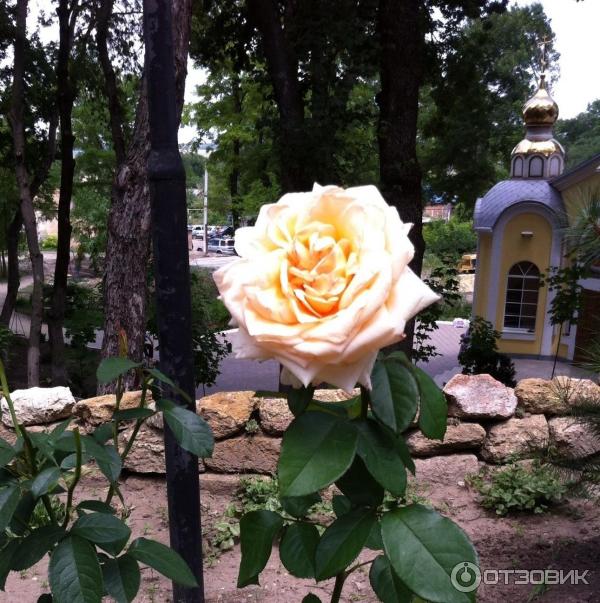 Храм иконы Божей Матери Живоносный источник (Россия, с. Петровка) фото