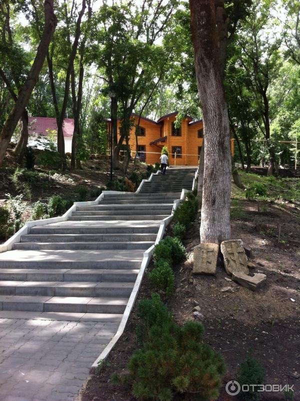 Храм иконы Божей Матери Живоносный источник (Россия, с. Петровка) фото