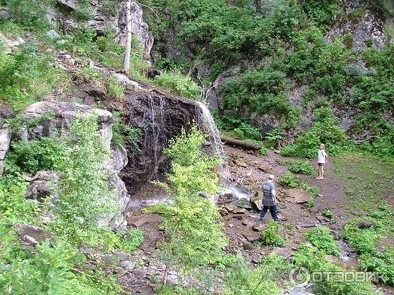 Горный Чарыш (Россия, Алтайский край, Чарышский район) фото