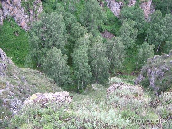 Горный Чарыш (Россия, Алтайский край, Чарышский район) фото