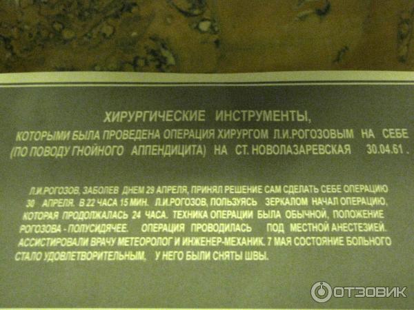 Российский государственный музей Арктики и Антарктики (Россия, Санкт-Петербург) фото