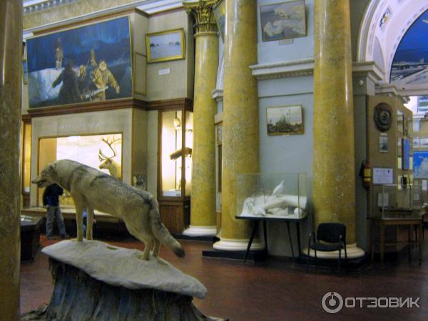 Российский государственный музей Арктики и Антарктики (Россия, Санкт-Петербург) фото