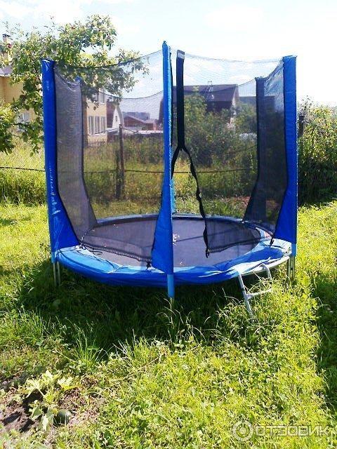 Батут OPTIFIT JUMP 8FT синий фото