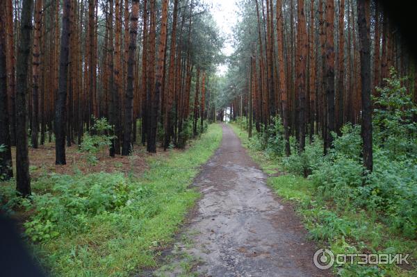 Город Брест (Белоруссия) фото