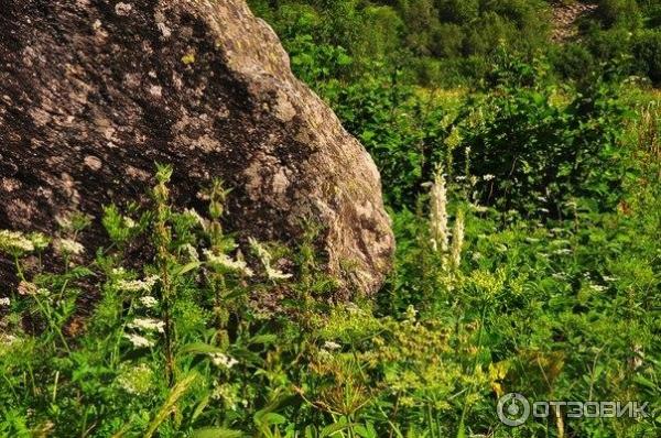 Дигорское ущелье (Россия, Осетия) фото