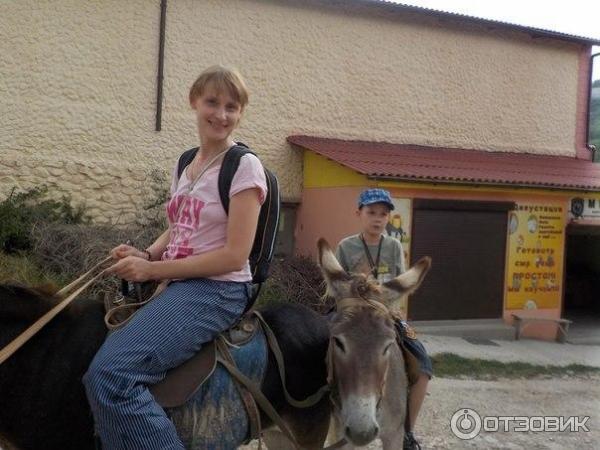 Ослиная ферма Чудо-ослик (Россия, Крым) фото