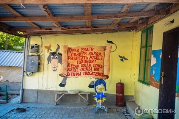 Ослиная ферма Чудо-ослик (Россия, Крым) фото