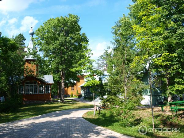 Пюхтицкий Успенский Ставропигиальный (Эстония, Куремяэ) фото