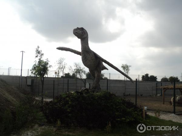 Динопарк Discoveryland (Турция, Манавгат-Илича) фото