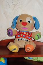 Музыкальная игрушка Fisher-Price "Ученый щенок" фото