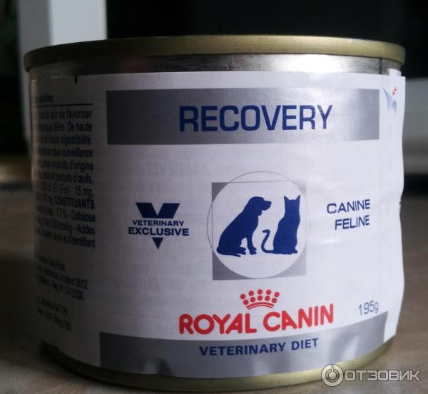 Корм для кошек и собак Royal Canin Recovery фото