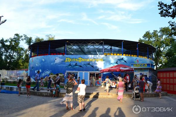 Краснодарский дельфинарий Sea Life в Городском саду