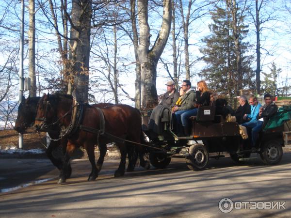 Экскурсия в Замок Нойшванштайн (Германия, Швангау) фото