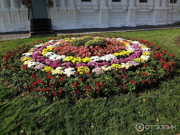Свято-Введенский Толгский женский монастырь (Россия, Ярославль) фото