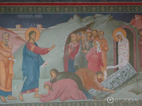 Свято-Введенский Толгский женский монастырь (Россия, Ярославль) фото