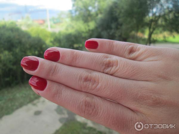 Shellac Decadance при естественном освещении